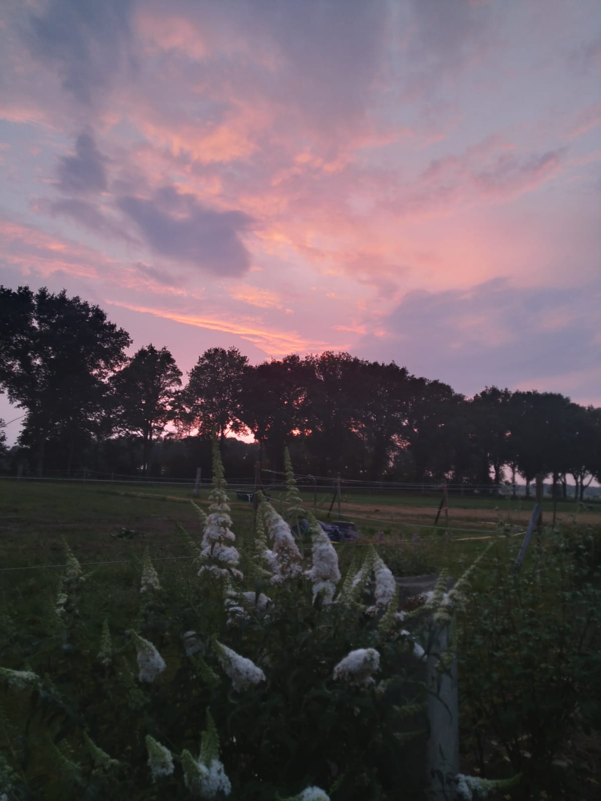 SVR Camping Hazehof — Photo 5 of 12